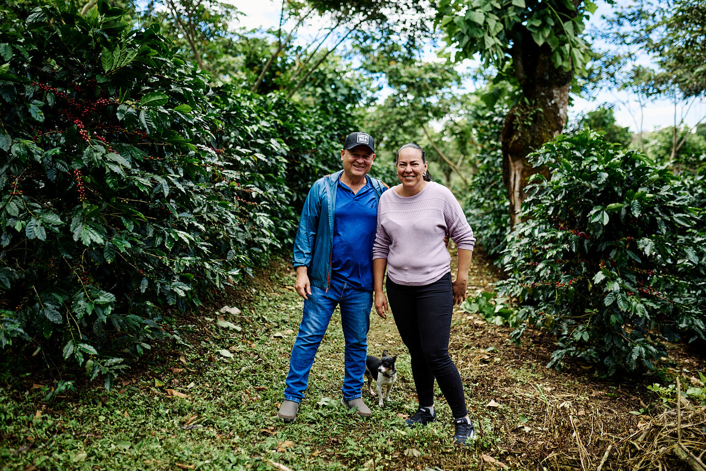 Costa Rica San Isidro Double Diamond