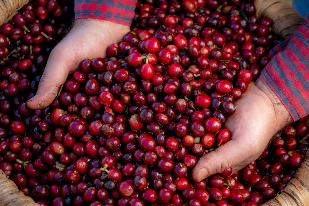 Costa Rica SL28