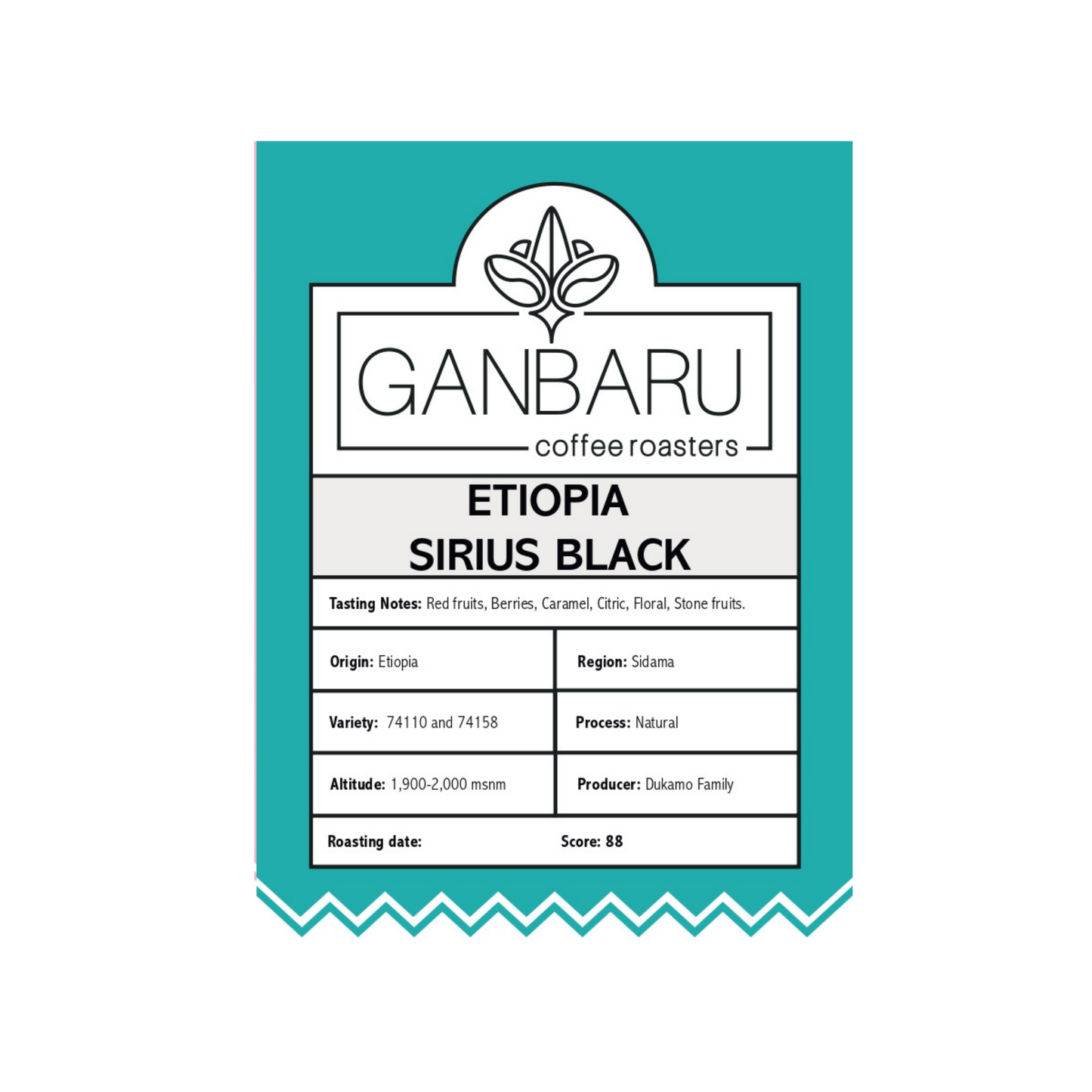 Etiopia Sirius Black