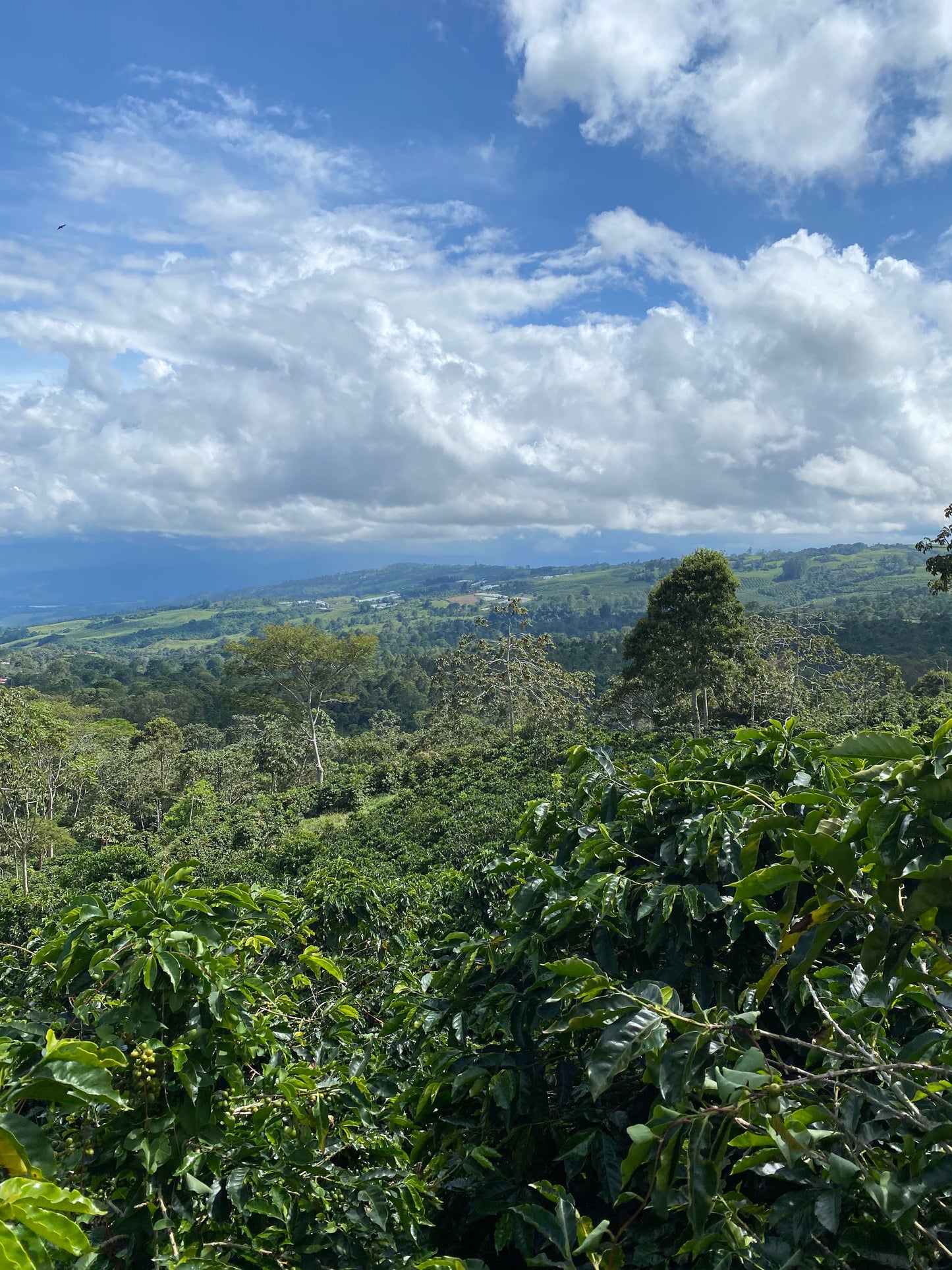 Costa Rica La Esperanza