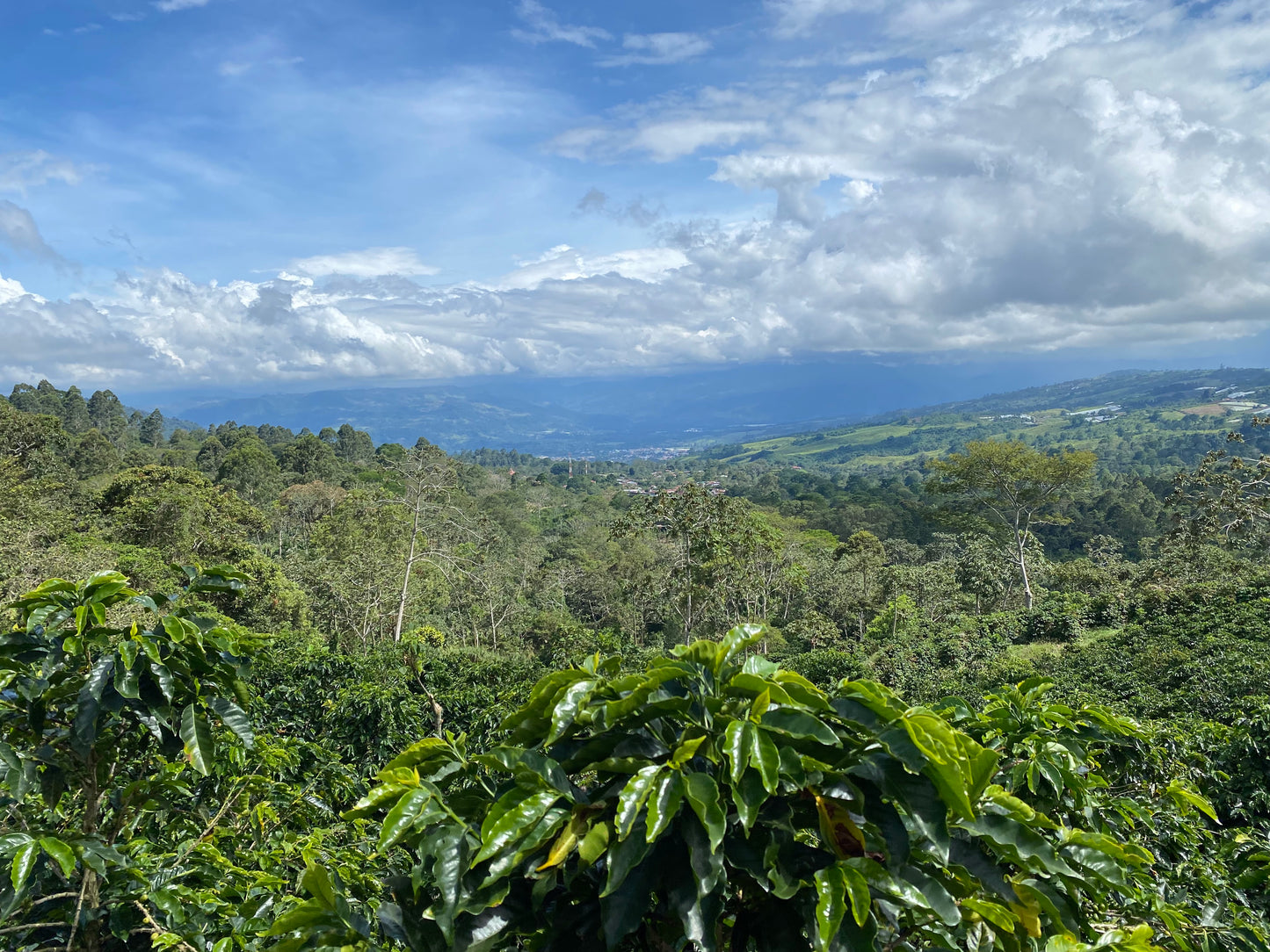Costa Rica La Esperanza
