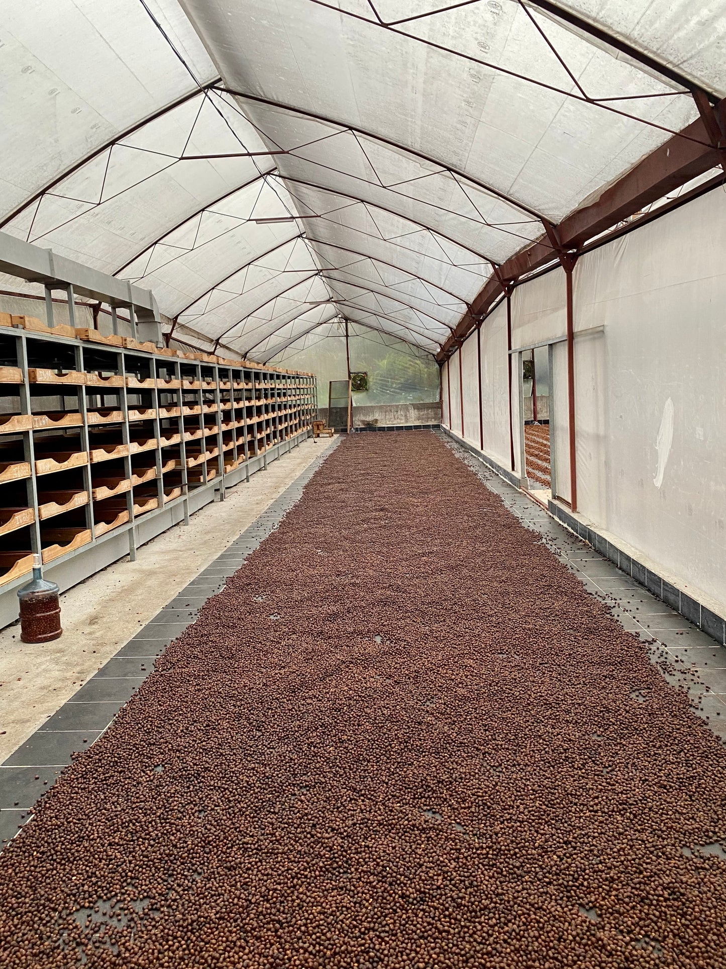 Costa Rica La Esperanza