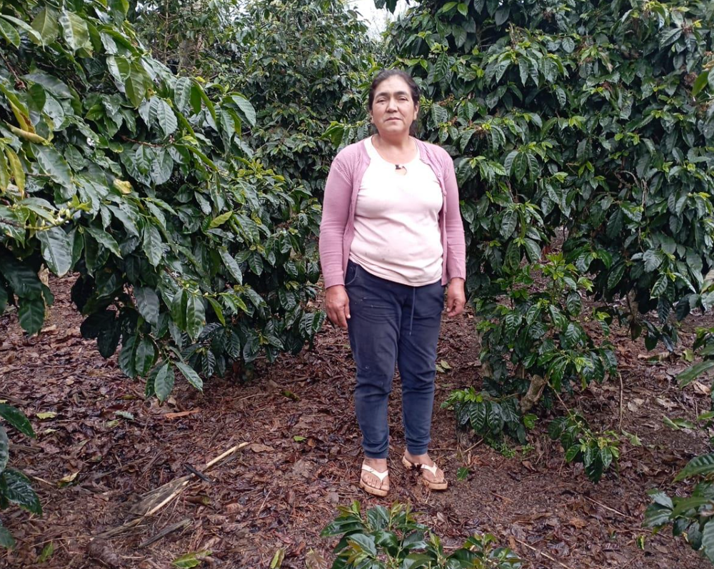 Peru Churupampa