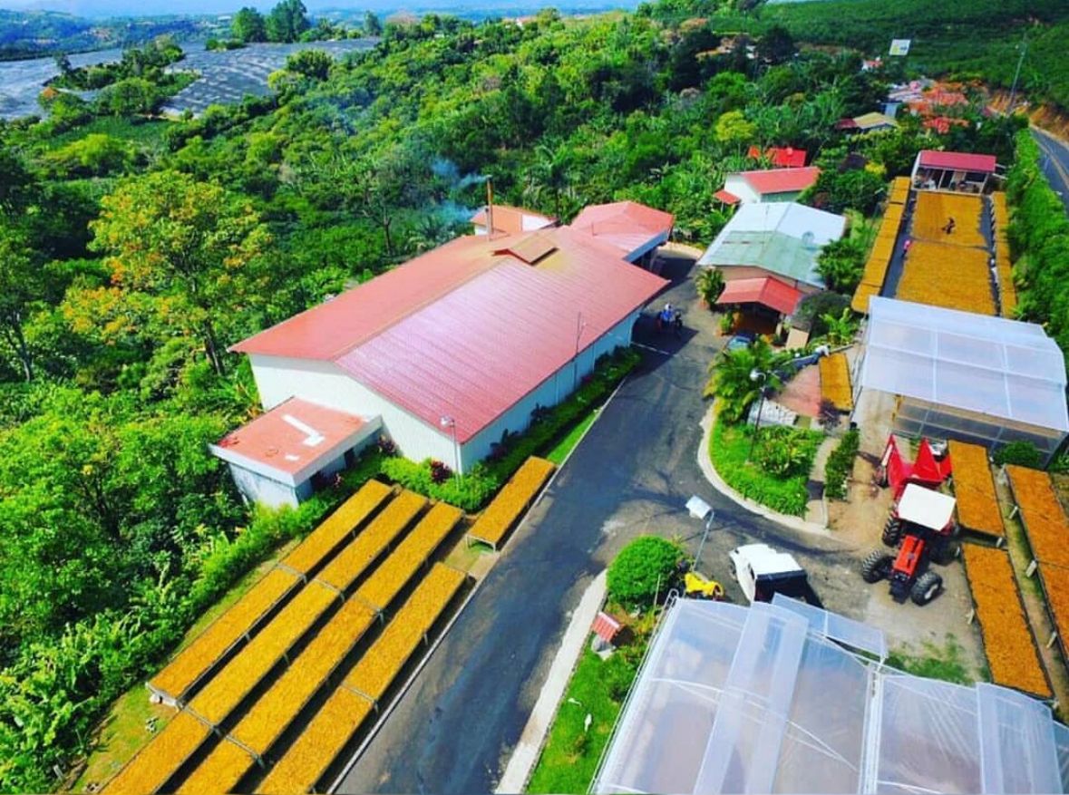 Costa Rica San Isidro Double Diamond