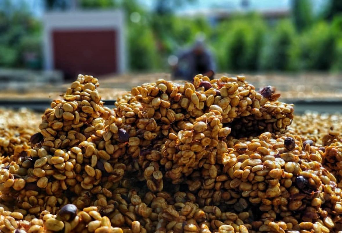 Costa Rica San Isidro Double Diamond