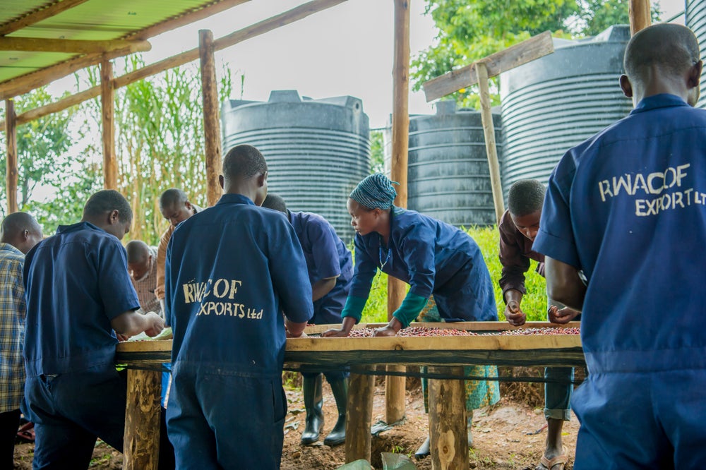Rwanda Mushonyi