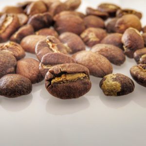 Curso SCA Barista Intermedio