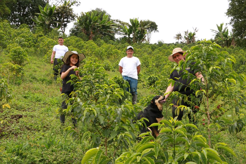 Colombia El Diviso  (Espresso/Filter)